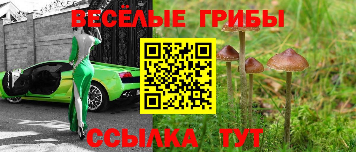 Псилоцибиновые грибы Psilocybe  Вход с VPN  Валуйки 